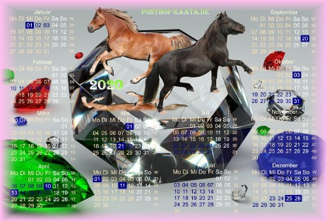Ponyhof Kalender  2020